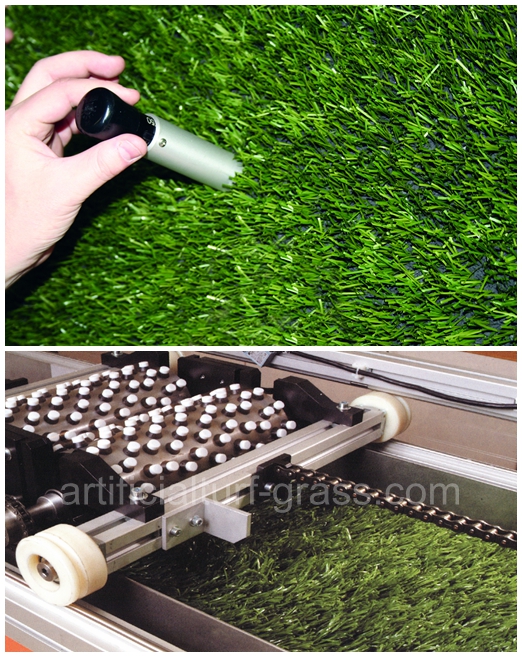 All Victory Grass (Guangzhou) Co., Ltd মান নিয়ন্ত্রণ 0