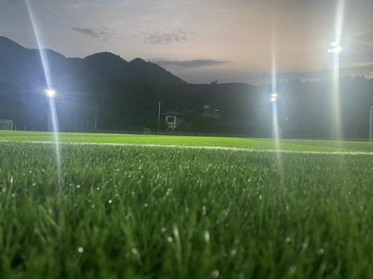 চীন 55mm উচ্চতা কৃত্রিম ঘাস টার্ফ ফুটবল সিন্থেটিক ঘাস পরিধান প্রতিরোধী সরবরাহকারী