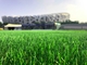 ফুটবল প্রাকৃতিক ঘাস টার্ফ কৃত্রিম লন বোনা 50 মিমি উচ্চতা সরবরাহকারী