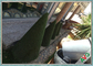 বাগান / ল্যান্ডস্কেপিংয়ের জন্য নিখুঁত ত্বক সুরক্ষা আউটডোর জাল ঘাসের কার্পেট সরবরাহকারী