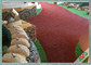ঘর সাজানোর আপেল সবুজের জন্য ল্যাটেক্স লেপ সি আকৃতির ইনডোর জাল ঘাস কার্পেট সরবরাহকারী