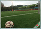 Professional Football Artificial Turf 12 Years Guaranteed Soccer Artificial Grass সরবরাহকারী