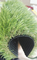 ব্যালকনির জন্য অ্যান্টি স্ট্যাটিক হালকা সবুজ কৃত্রিম লন টার্ফ, 40 - 50 মিমি উচ্চতা সরবরাহকারী